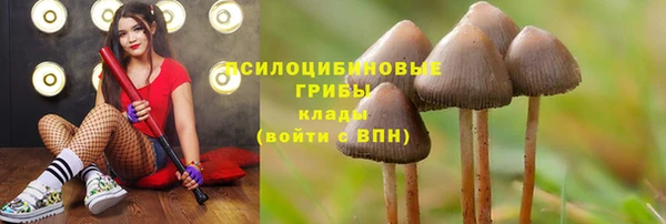 мет Абинск