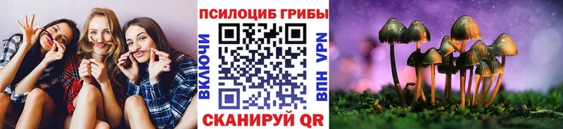 Псилоцибиновые грибы Magic Shrooms  Карабаново 