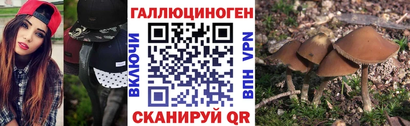 Псилоцибиновые грибы ЛСД Карабаново