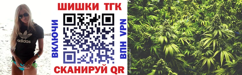 Канабис OG Kush Карабаново